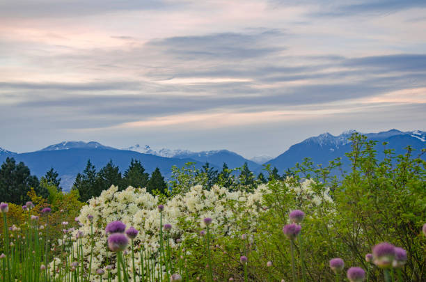 Mountain views from Queen Elizabeth Park