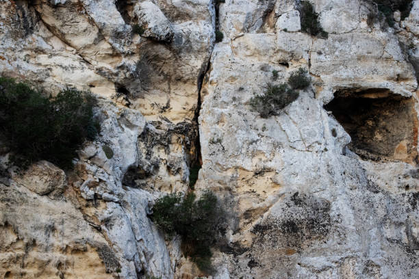 istock typical canyon gorge rock cliff face with green trees in Menorca 2040831737