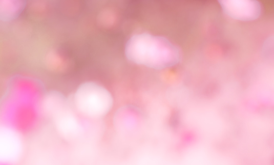abstract spring background with blurred abstract pink background