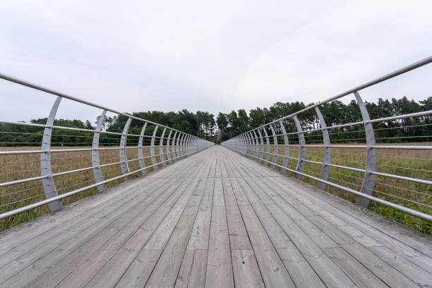 istock Spacious forest path near tall grass, Sweden, Soelvesborg 2040856678