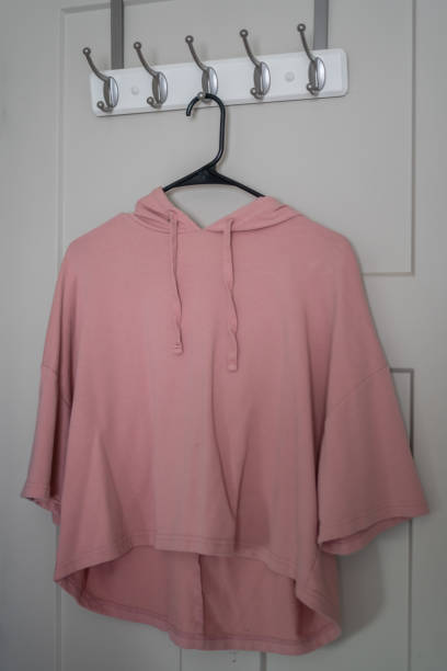 istock Short Sleeve Baby Pink Cropped Hoodie Black Empty Space 2040874565