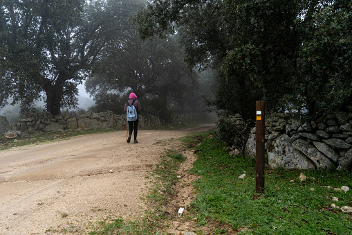 Walking on a dirt road, woman in trekking clothes hiking on a cold foggy morning. Outdoor winter recreational activity, walking in nature. Sporty woman walking in nature.