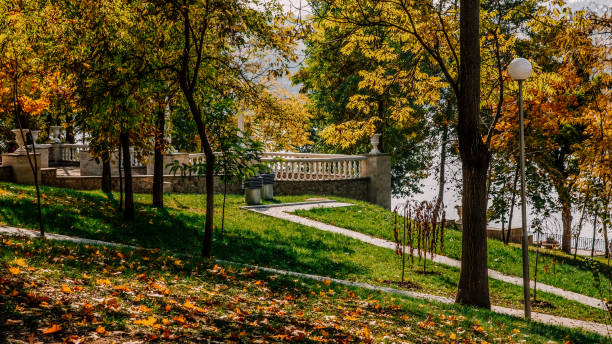 Valea morilor park, autumn with golden trees