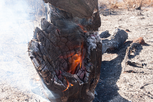 The Charred out remains of a brush fire in the northwest sector of Brasilia, Brazil