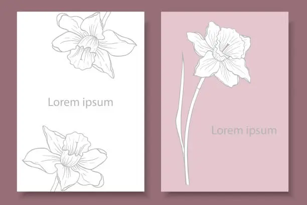 Vector illustration of Two pastel-coloured floral backgrounds with an image of a daffodil. Delicate paternas with a floral theme. Design of invitations, labels, postcards.