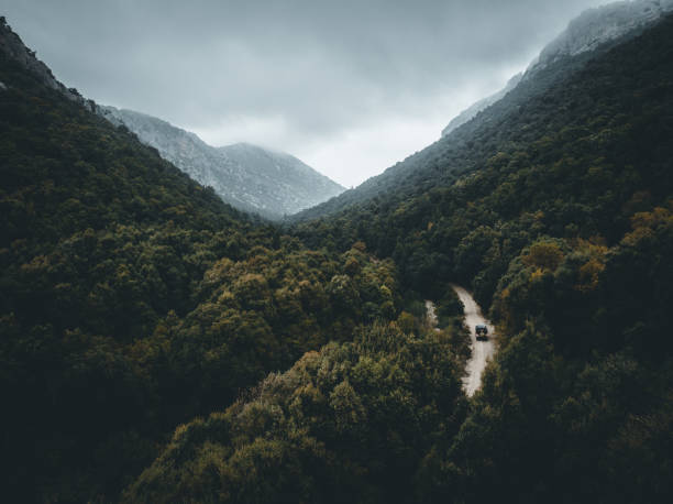 Free Stock Photo of Dense Forest and Mountain Landscape | Download Free ...