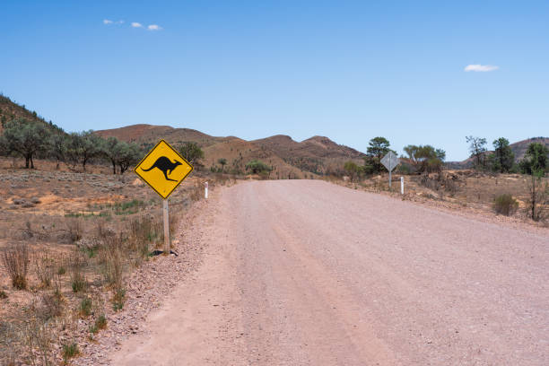 istock Kangaroo road sign along a dirt road in Outback Australia 2040964807