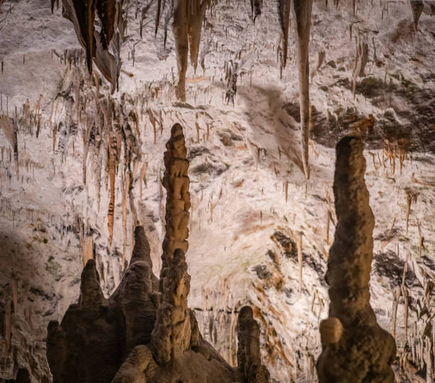 istock The cave Postojna Cave in Slovenia 2040974251
