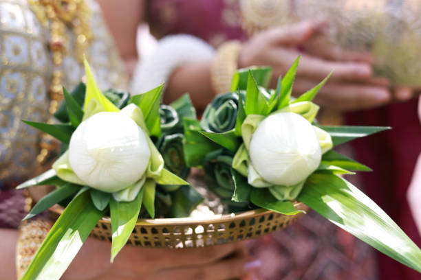 White Lotus flower for make merit and buddha respect