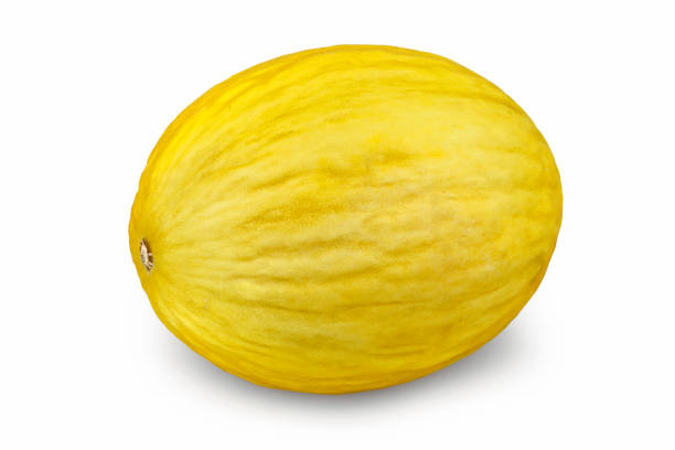 whole yellow honeydew melon isolated on white background, studio cutout.