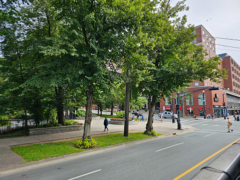 Halifax, NS, CAN, 8.13.2023 - A treed sidewalk area in down town Halifax, Nova Scotia.