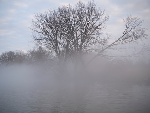 Foggy morning on the river