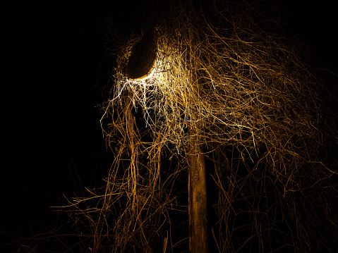 Horror photo creepy nighttime broken lamp