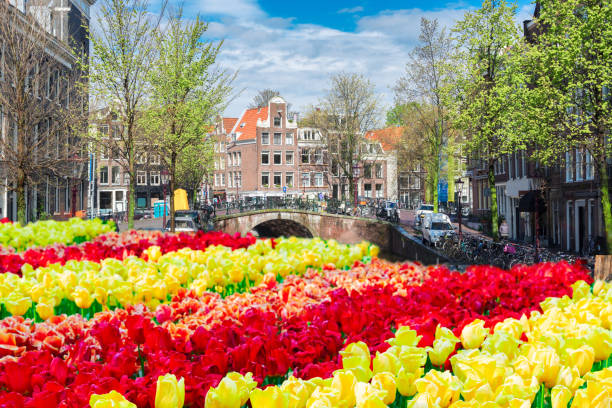 istock Houses of Amstardam, Netherlands 2041056210