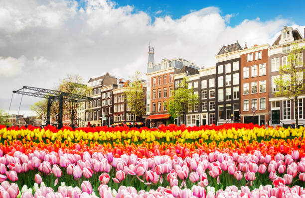 istock Houses of Amstardam, Netherlands 2041074826