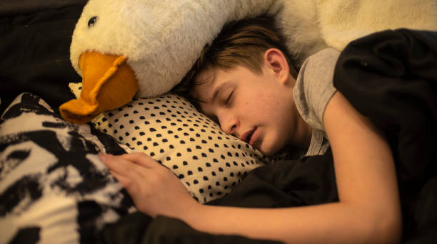 istock a boy is sleeping in the bed with his large soft toy goose 2041078522
