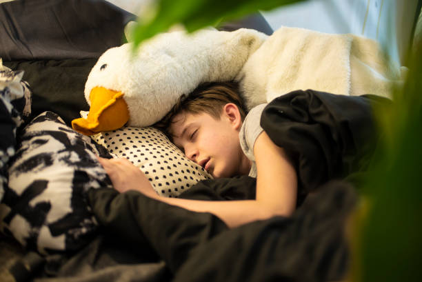 istock a boy is sleeping in the bed with his large soft toy goose 2041078524