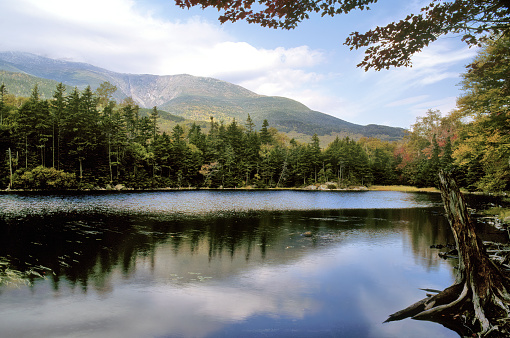 Reflection of clouds, evergreen trees, and Mount Washington on surface of Lost Pond in the White Mountains of New Hampshire.