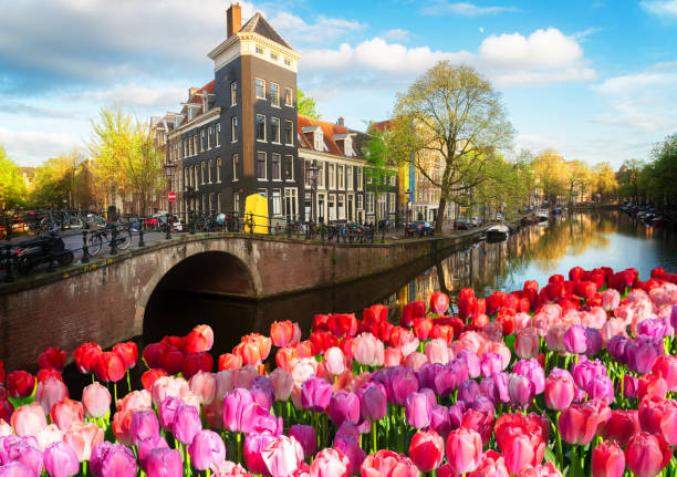 istock Houses of Amstardam, Netherlands 2041091140