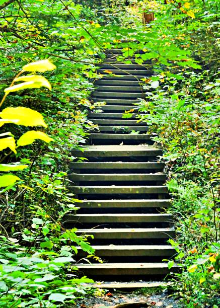 istock Straight stairway hidden on the trail 2041132207