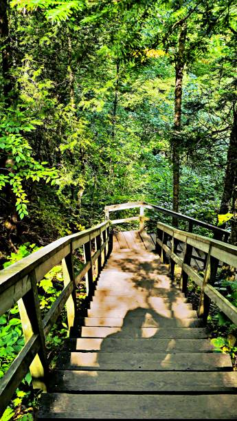 istock A steep stairway on a mountain trail 2041132822