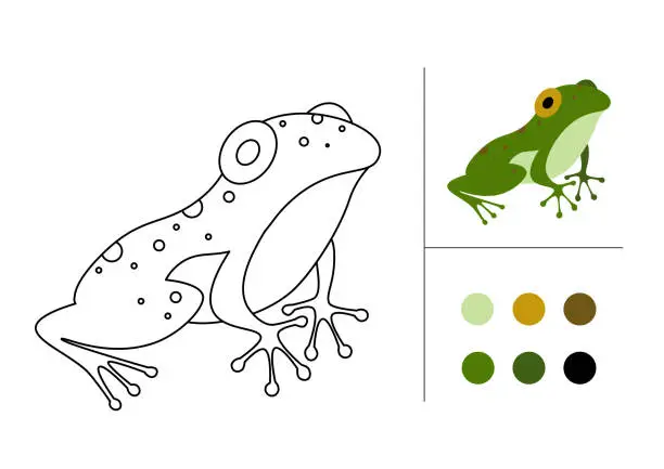 Vector illustration of Frog for coloring book. Line art design for kids coloring page.