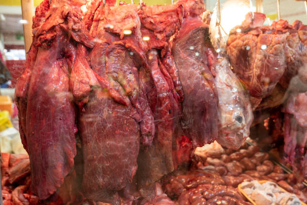 istock Offal products, animal intestines, beef lungs, offal, 2041160613