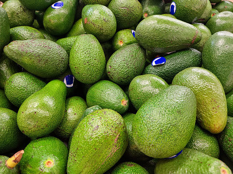 Close-up of many green avocados