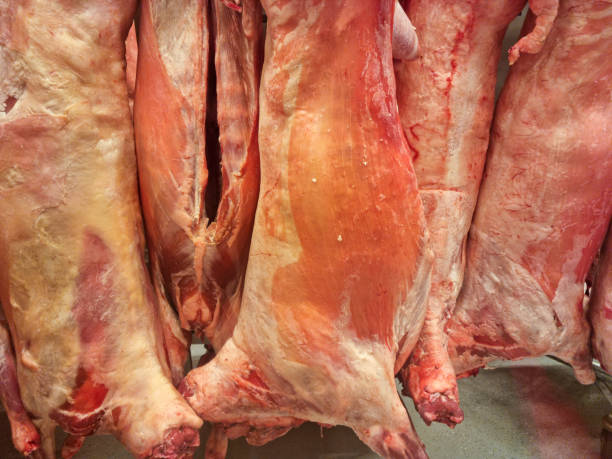 istock Meat pork, beef, poultry. Close-up in retail 2041241496
