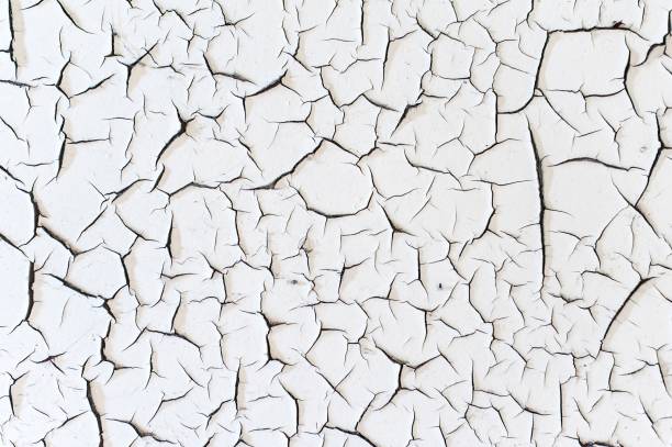 istock Cracked white paint peeling from a wall in a derelict building decaying from age and the environment 2041261561
