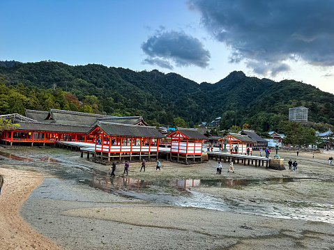 Miyajima, Itsukushima island, Japan - 12.11.2023. Miyajima, view of Itsukushima shrine, Hiroshima, Japan. Low tide.