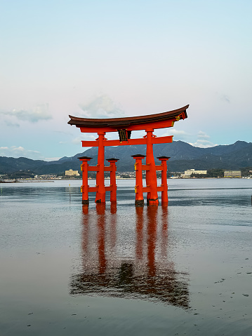 Miyajima, Itsukushima island, Japan - 13.11.2023. Miyajima, The famous Floating Torii gate with beautiful sunrise at the background, Itsukushima shrine, Hiroshima prefecture, Japan. Great floating torii