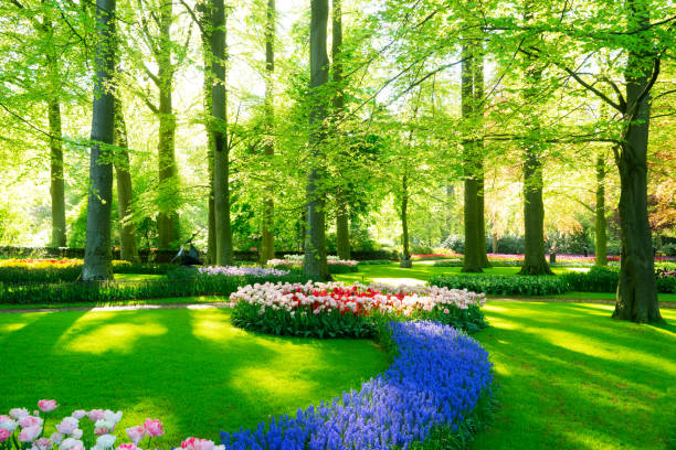 istock fresh lawn with flowers 2041295790