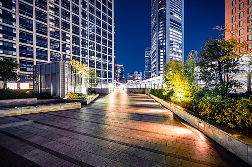 Skyscrapers and office park in Shiodome, Tokyo
