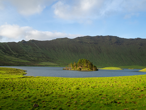 Lake islet covered with trees in Caldeirão do Corvo, Azores