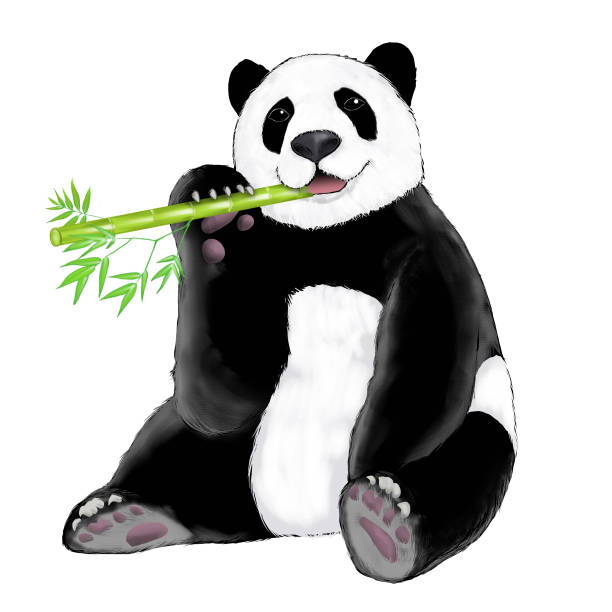 Free Stock Photo of Panda Bear Sitting on Top of a Pile of Bamboo ...