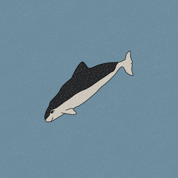 morświn okularowy. wektor ręcznie rysowana kreskówka dziecinna ilustracja na niebieskim tle. zwierzę polarne na antarktydzie z teksturami - underwater mine stock illustrations