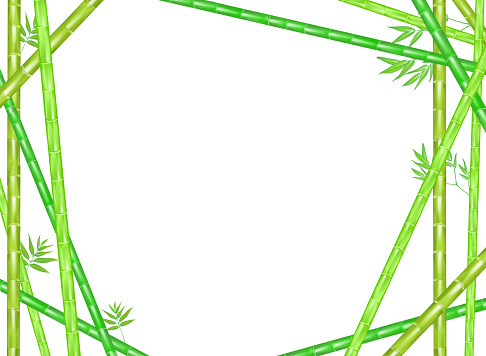 frame of green bomboo on white background