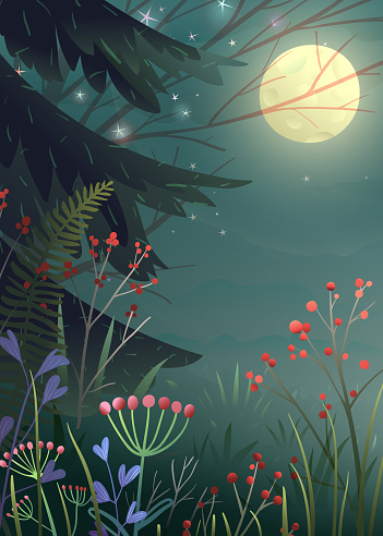 Dreamlike fantasy pine forest at night with full moon. Fairytale wild nature forest at night, pine tree and red berries. Vector wallpaper, starry night sky illustration for children.