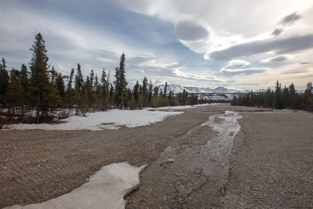 Lenticular cloudscape over snowcapped landscape wilderness in the spring in Denali National Park in Alaska United States