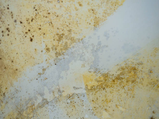 istock Contrast between clean and dirty. Mold and plaque on bathroom enamel. Dirt and infection. Needs cleaning. Mud cleaning concept. 2041453971