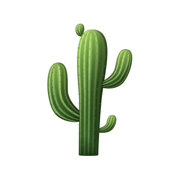 Vector illustration of Vector cactus composition with isolated image of cactus on white