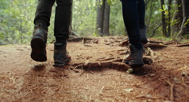 4k rearview video footage of an unrecognizable couple exploring a forest together