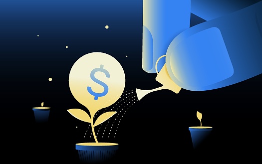Hand with watering can watering plant with dollar sign. Investing, startup concept. Vector illustration.