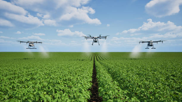 istock Agriculture drone fly to sprayed fertilizer on the tomato fields 2041616196