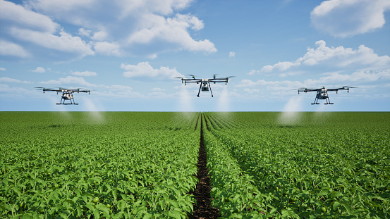 Agriculture drone fly to sprayed fertilizer on the tomato fields, Innovation of smart farming concept, 3d render