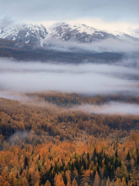 istock snow mountains and forests covered with morning fog 2041635702
