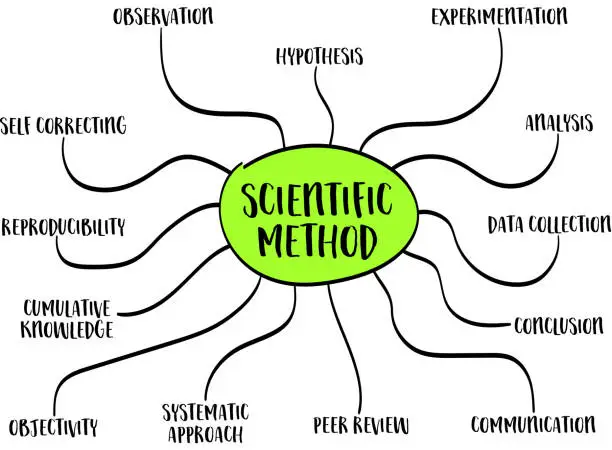Vector illustration of scientific method infographics or mind map sketch, science and research concept