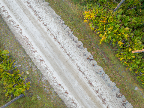 sandy road at sunrise - Apalachicola National Forest in Florida, aerial view