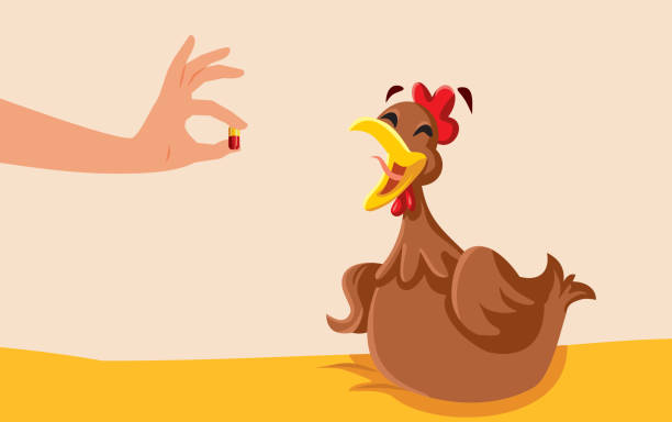 istock Veterinarian Giving Pill Treatment to a Chicken Vector Cartoon Character 2041690936